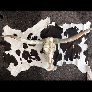 Wild One Longhorn Skull